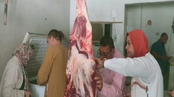 إتلاف منتجات لحوم ودواجن غير آمنة في الأقصر