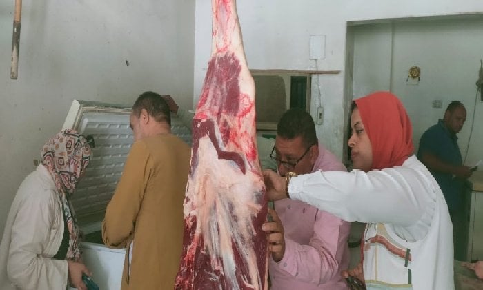 إتلاف لحوم ودواجن غير صالحة في الأقصر