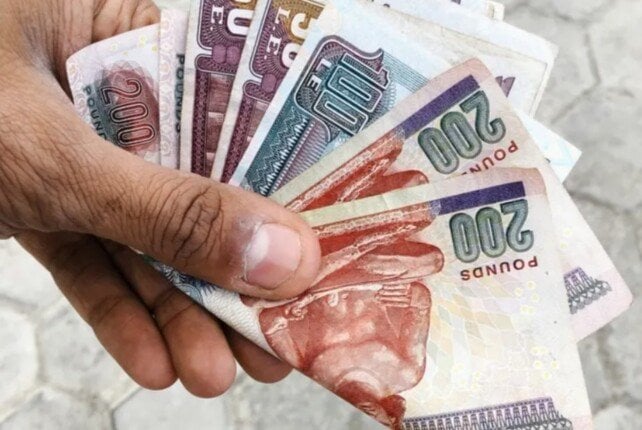 استثمر بأمان مع شهادات ادخار بنك ناصر بنسبة 22%