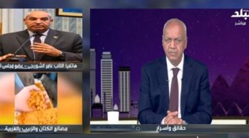 استراتيجية عامر الشوربجي لإعادة تأهيل صناعة الزبيب المصرية من الاستيراد إلى التصدير