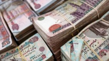 استكشف خيارات شهادات الادخار بعد تخفيض أسعار الفائدة في البنك الأهلي وبنك مصر