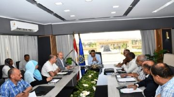 تحقيق التنمية الزراعية 65 ألف فدان في وادي النقرة بأسوان