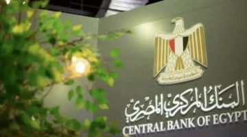 ترقب لقرارات الفائدة هل ينجح المركزي المصري في خفض المعدلات؟