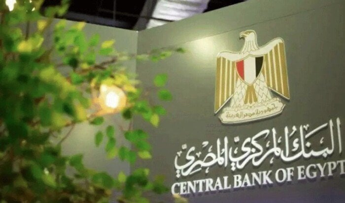 ترقب لقرارات الفائدة: هل ينجح المركزي المصري في خفض المعدلات؟