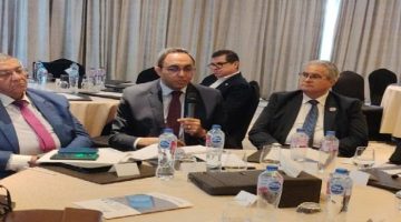 تعزيز القدرات الرقمية للقيادات المحلية مشاركة محافظ قنا ونائبه في ورشة عمل بالقاهرة