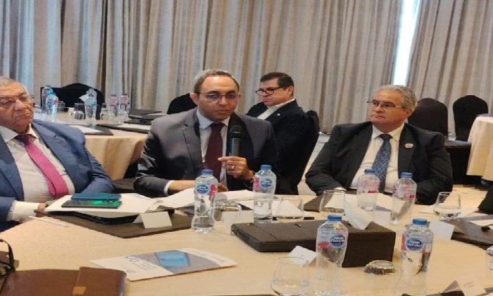 تعزيز القدرات الرقمية للقيادات المحلية: مشاركة محافظ قنا ونائبه في ورشة عمل بالقاهرة