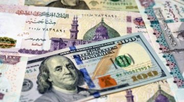 توقعات فيتش الجنيه المصري يتحدى تقلبات سعر الدولار
