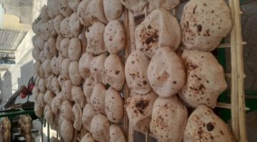 حملة تموينية في المنيا تكشف 244 انتهاكًا تشمل بطاقات غير صحيحة وخبز ناقص الوزن