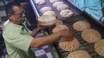 حملة تموينية في كفر الشيخ: 110 محاضر وضبط مواد غذائية فاسدة