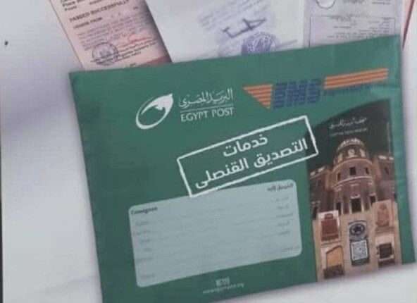 التصديق القنصلي: تحديثات وامتيازات جديدة من خدمات بريد المنيا