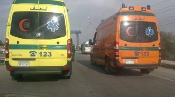 خمسة ضحايا في حوادث منفصلة بالبحيرة، بينهم طفلان