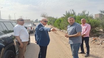 دعم النظافة في الأقصر تعليمات للمحافظة على الجمالية الحضرية