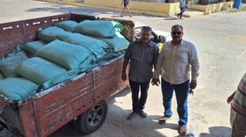 ضبط شحنة دقيق مهرب في حملة تموينية بالغربية
