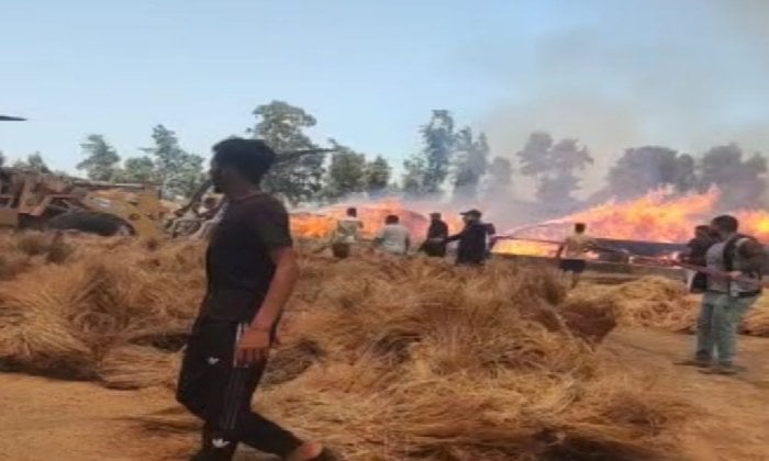 غياب الأمان: حريق مدمّر يضرب محصول الكتان في شبراملس
