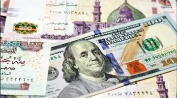 مستجدات سعر الدولار خلال تعاملات الإثنين 25 أغسطس 2025
