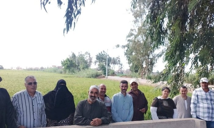 ورشة عمل حول تقنيات زراعة الأرز في كفر الشيخ
