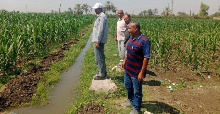 يوم حقلي في منفلوط: تحسين استخدام المياه في زراعة أسيوط