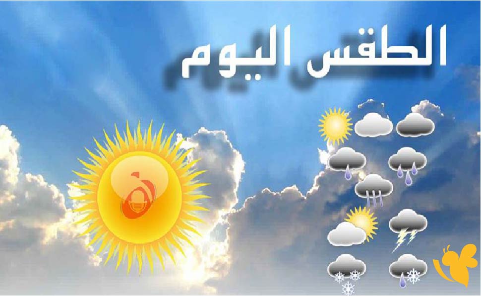 فيضان مفاجئ: اليمن يواجه تحديات الأمطار الغزيرة