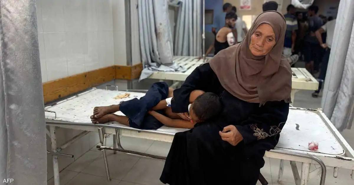 بلجيكا تدعم فلسطين بقرار الاعتراف و12 عقوبة على إسرائيل