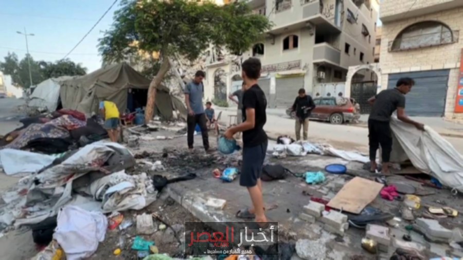 فنلندا تؤكد دعمها لحل الدولتين في سياق إعلان نيويورك بشأن فلسطين