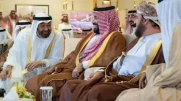 تعزيز الشراكة: رئيس الإمارات وولي العهد السعودي يناقشان التعاون الاستراتيجي