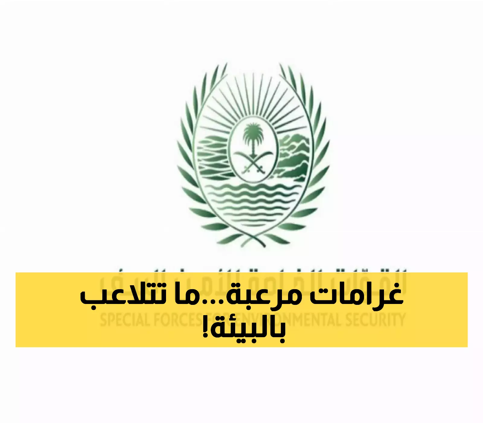 عقوبات صارمة: 32 ألف ريال غرامة لكل متر مكعب من الحطب التجاري في السعودية