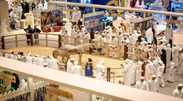 مجلس أبوظبي الرياضي يسلط الضوء على خدماته الفريدة في معرض الصيد والفروسية