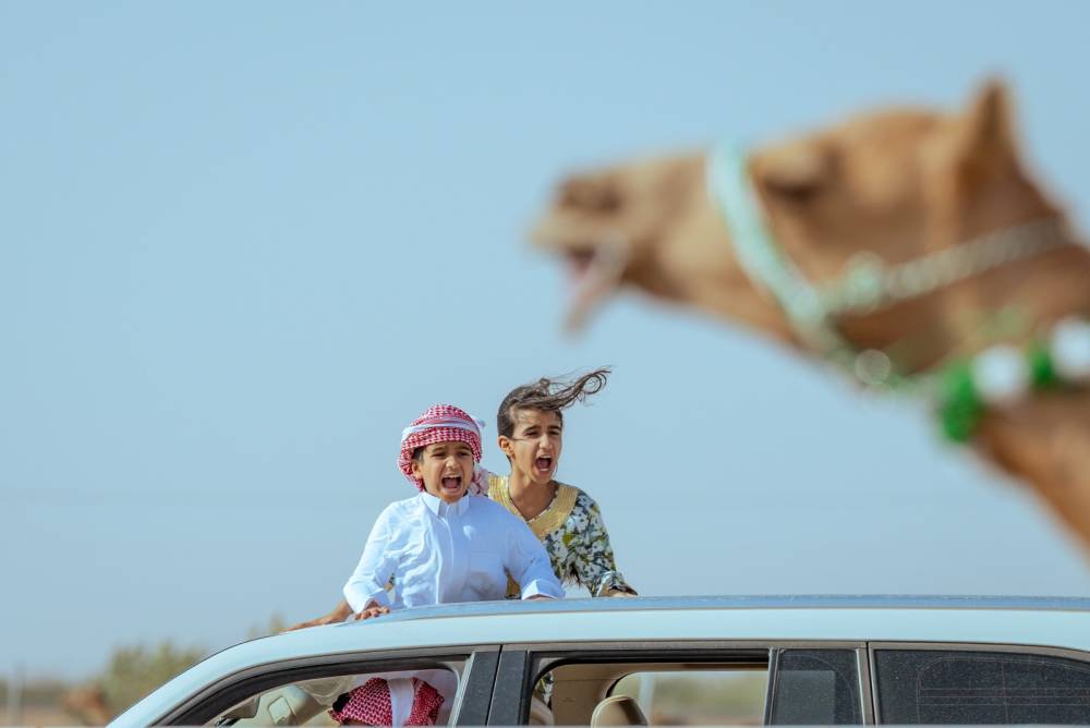 سباقات الهجن السعودية: ريادة وتصاعد تاريخي في إشغال الإقامة بالطائف