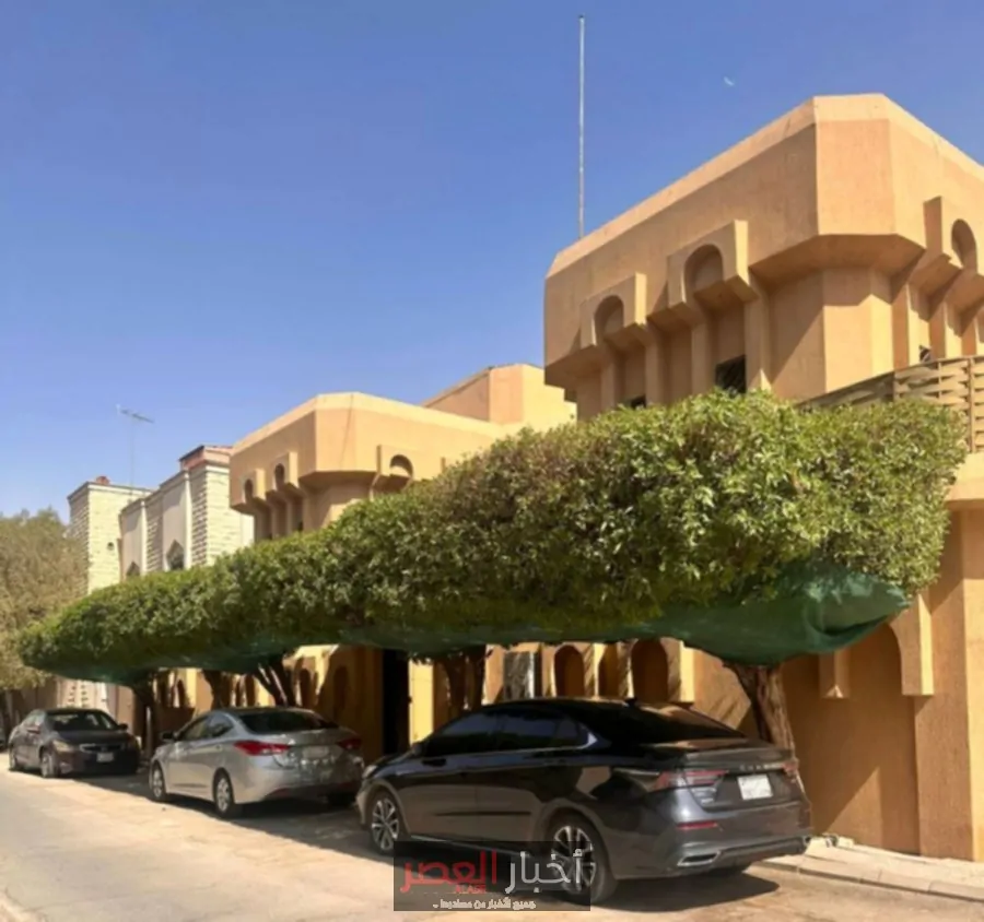 مبادرة التشجير: درع طبيعي ضد حرارة الصيف