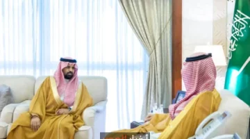 التنمية المستدامة في جزيرتي دارين وتاروت تحت مظلة القيادة الحكيمة
