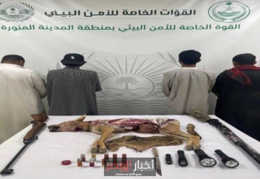 اعتقال أشخاص في المدينة المنورة لصيد ذئب عربي مهدد بالانقراض
