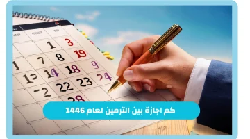 29 09 24 477579717
