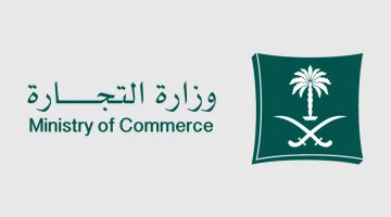 الإطلاق الإلكتروني لتراخيص تخفيضات اليوم الوطني السعودي 95