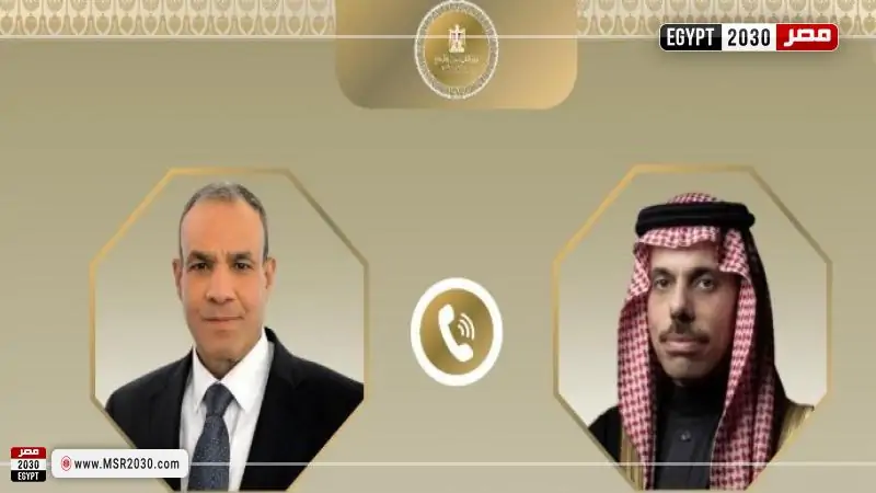 تضامن عربي: دعم فلسطين ورفض العدوان الإسرائيلي 2 تضامن عربي: دعم فلسطين ورفض العدوان الإسرائيلي