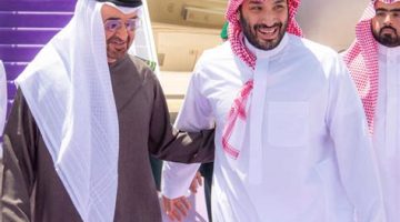 محمد بن زايد في السعودية: زيارة أخوية واستقبال حماسي