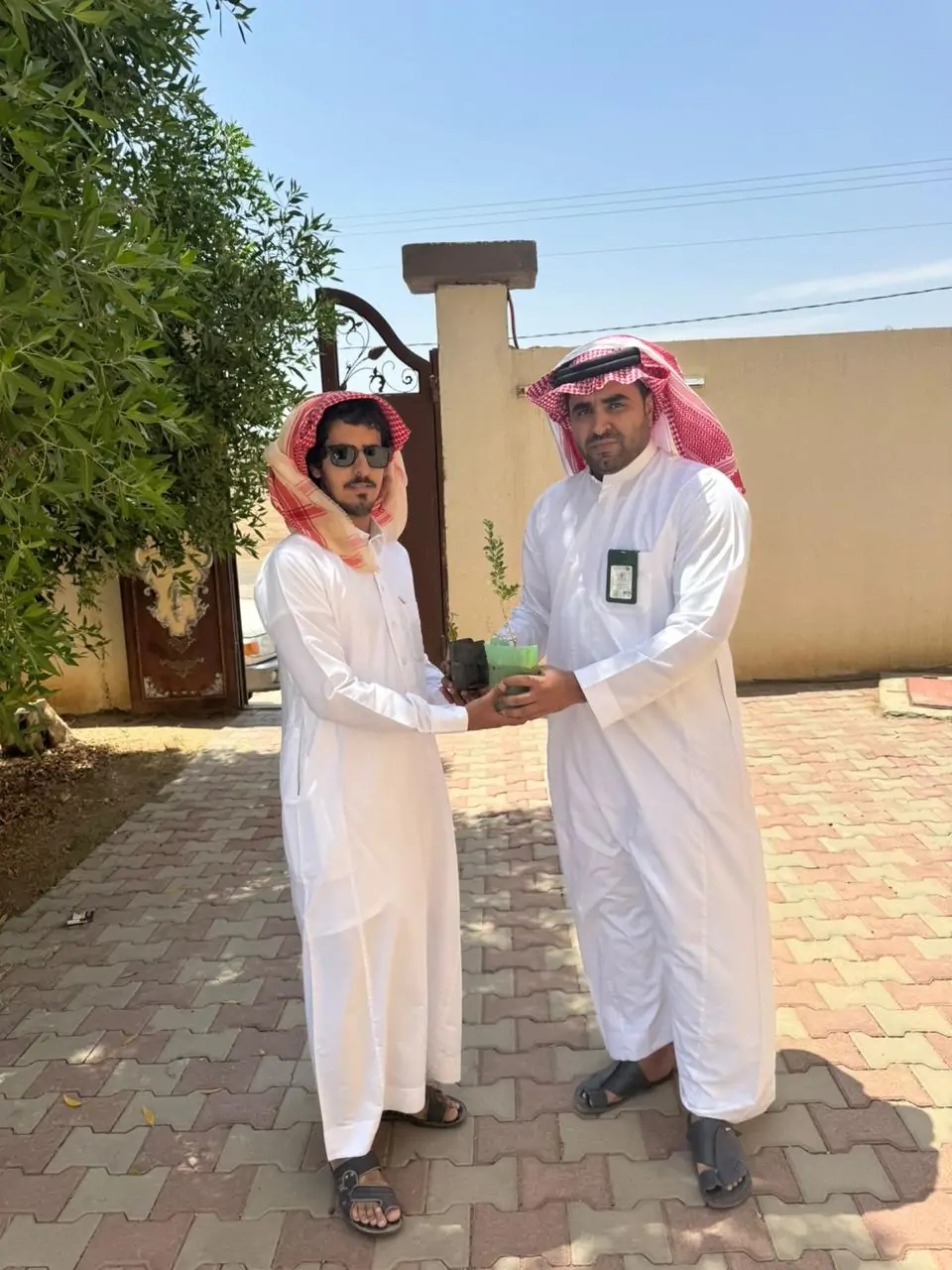 شتلات خضراء: دعم المبادرة السعودية للحفاظ على البيئة