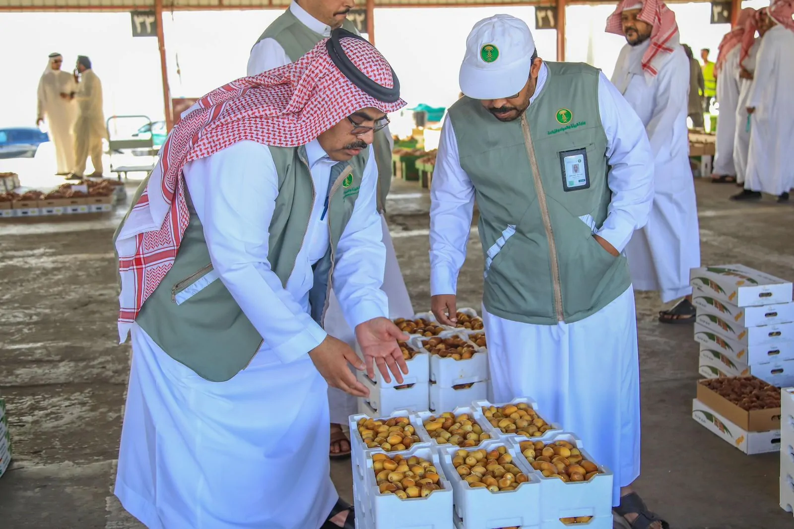 مهرجان تمور حائل: شهران من الاحتفاء بتنوع وجودة النخيل 2 مهرجان تمور حائل: شهران من الاحتفاء بتنوع وجودة النخيل
