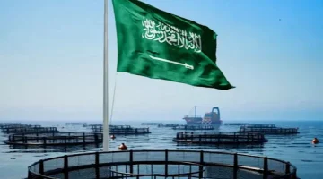 الرياض في الطليعة: ريادة المملكة في مشاريع الاستزراع السمكي