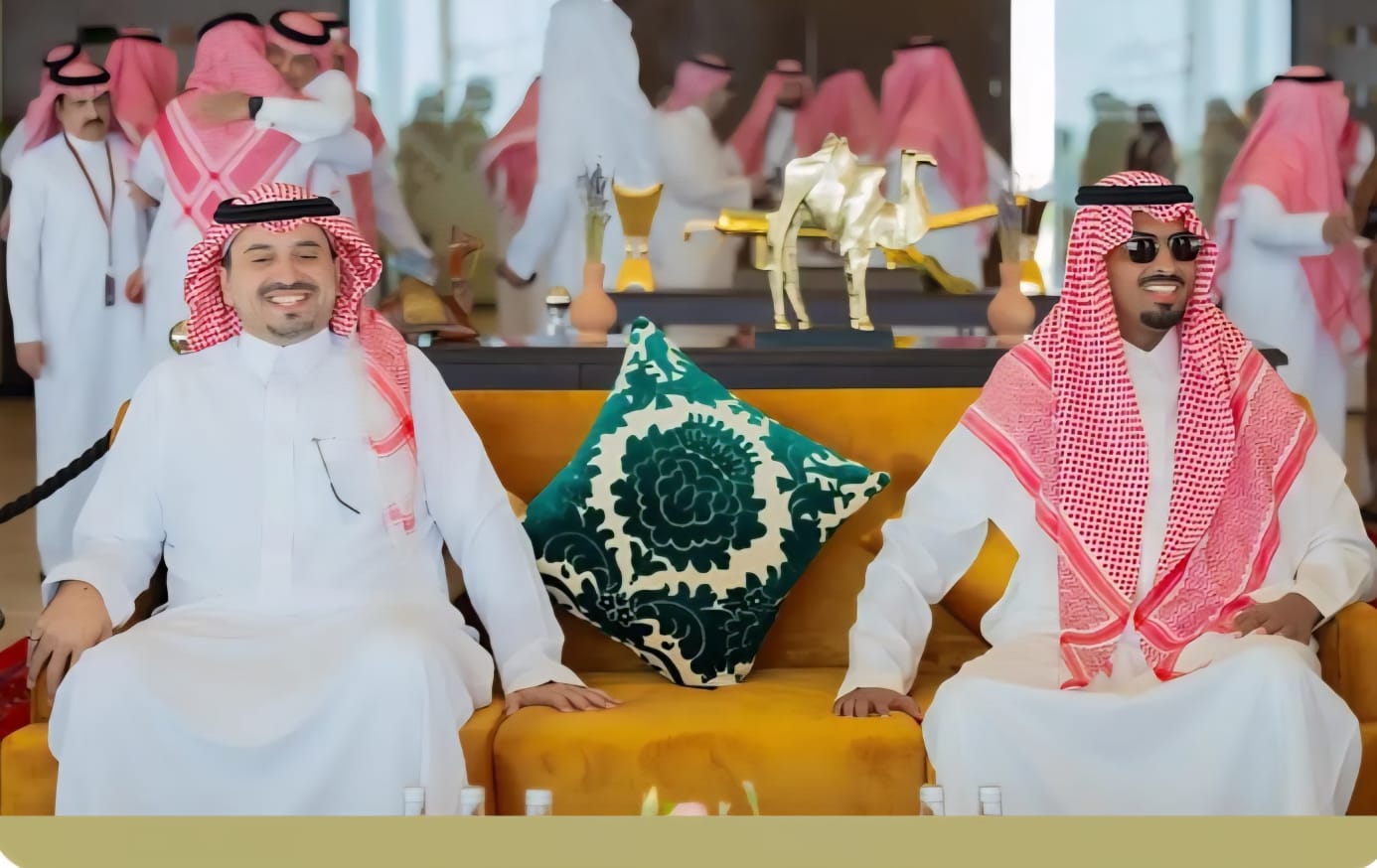 الإبل السعودية تتألق في مهرجان ولي العهد بالطائف