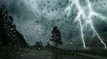 rain23456 11zon