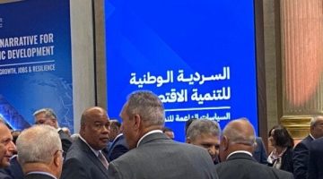 أيمن العشري تعزيز الوطنية من خلال المواطن والقطاع الخاص