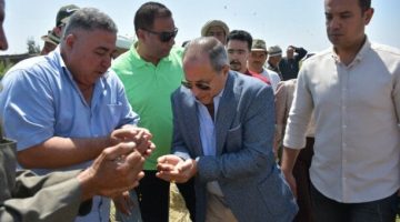 بورسعيد 34 ألف فدان في احتفال حصاد الأرز لتعزيز الأمن الغذائي