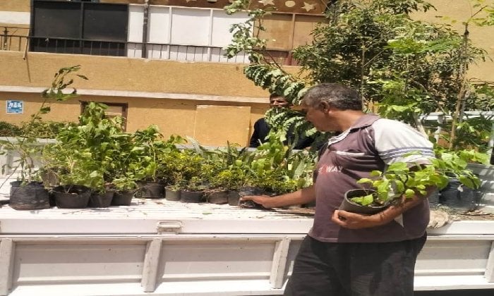 تهيئة مدارس أسوان لاستقبال عام دراسي جديد بنظافة وزراعة
