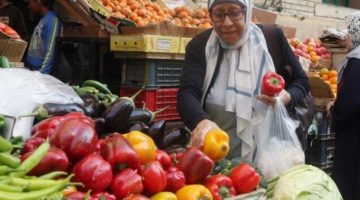 توقعات بتراجع التضخم في مصر إلى 12.7 في أغسطس