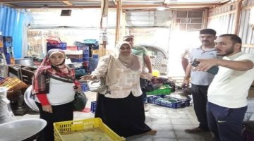 ضبط شبكة غش تجاري في شبين الكوم مع مصادرة طن من المواد الغذائية الفاسدة