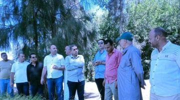 متابعة زراعة الصيف: جهود كفر الشيخ في الأسمدة ومكافحة الآفات