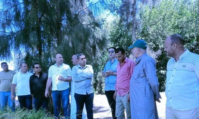 جهود كفر الشيخ في تعزيز زراعة الصيف: الأسمدة ومكافحة الآفات