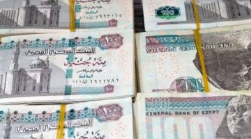 مقارنة بين عوائد شهادات الادخار في بنك مصر والبنك الأهلي بعد تخفيض الفائدة