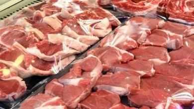 أسعار اللحوم اليوم الأحد 26 أبريل 2026 البتلو يسجل 497 جنيهاً وتحديثات السوق اللحوم الطازجة