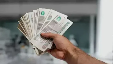 بشرى لأصحاب المعاشات صرف مستحقات 24 ألف مواطن خلال أيام لضمان حقوقهم المالية